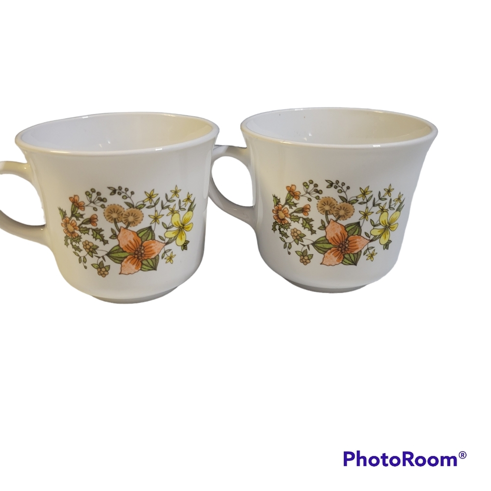 2 Vintage Corelle Coffee Tea Cup INDIANA SUMMER
